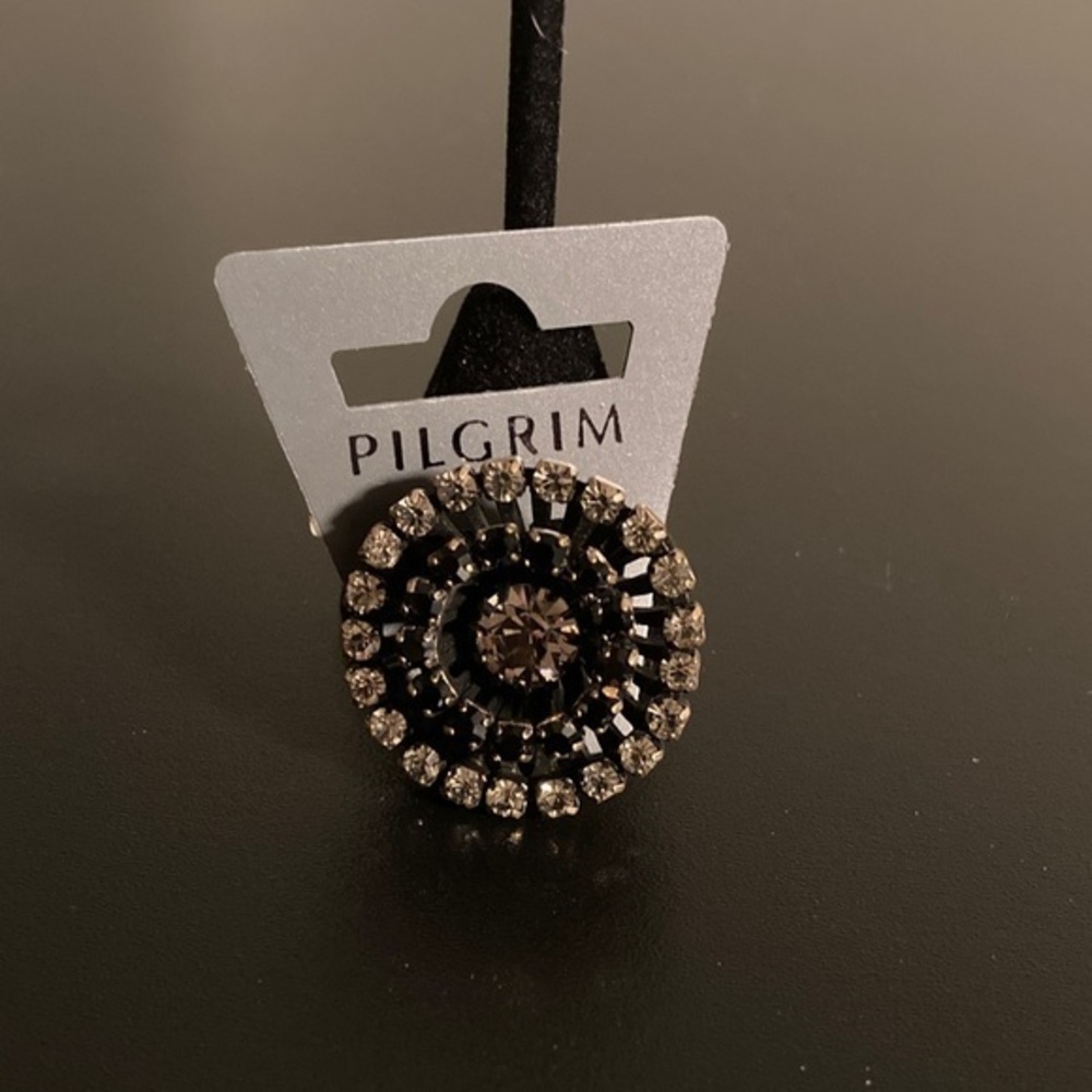 Pilgrim Elegant Black and Gold Crystal Brooch